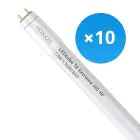 Lot 10x Noxion Tube LED T8 Avant Extreme (HF) High Output 14W 2100lm - 840 Blanc Froid | 120cm - Équivalent 36W